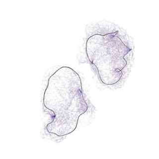 Redecilla Cabello Invisible 2 Unidades Beter (8412122030186)