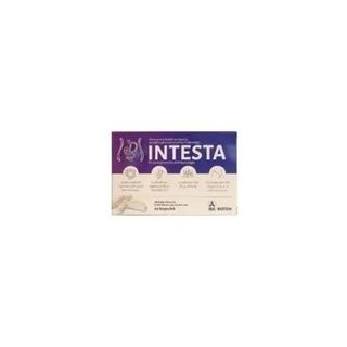 Intesta 60 kapsułek