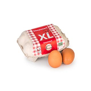 Huevos Xl Can Martí Eco 6 Uds.