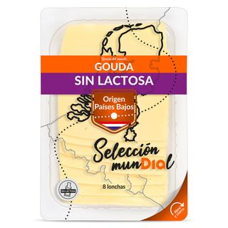 Queso Gouda Sin Lactosa Selección Mundial De Dia Sobre 160 G