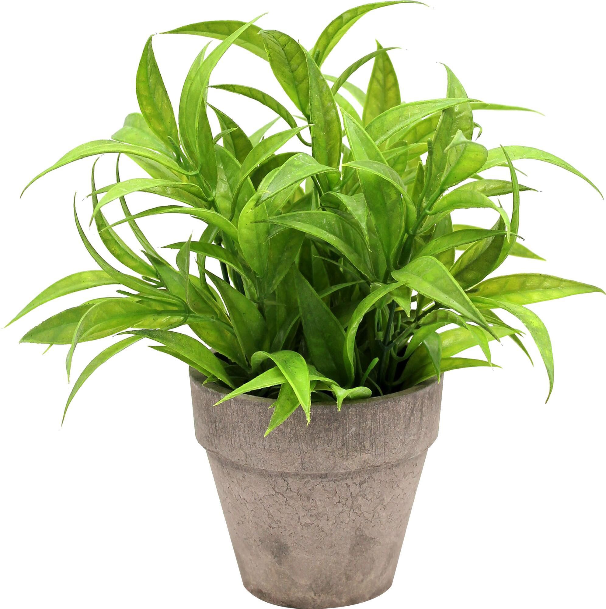 Decoração de Jardim