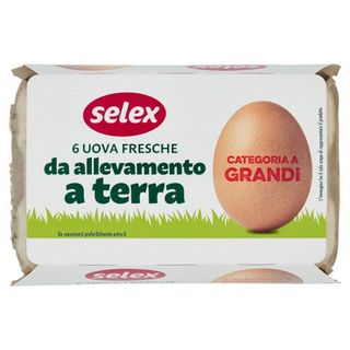 SLX 6 UOVA  A/TERRA L