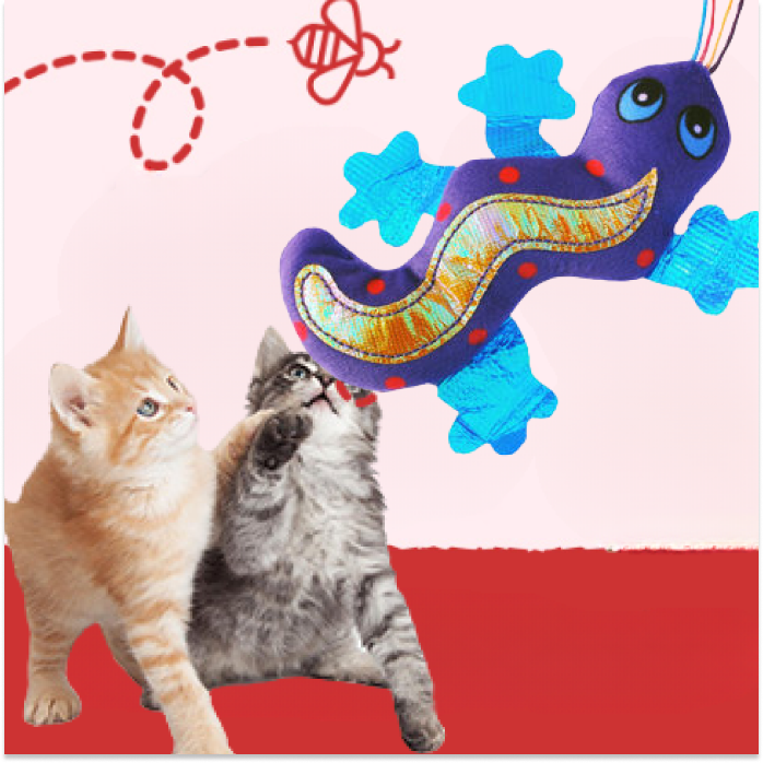 Accesorios y Complementos Gatos