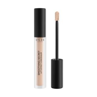 Smoothing Secret Concealer Nw20