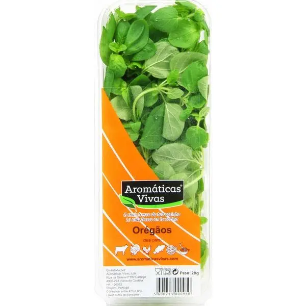 Ervas Aromáticas