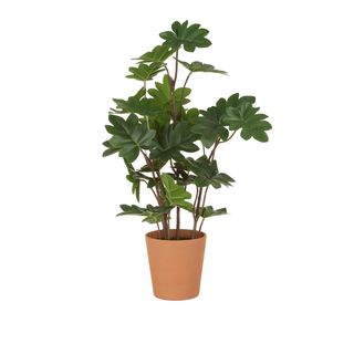 Pianta artificiale - con vaso in terracotta