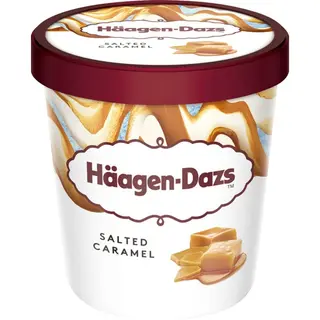 Haagen-Dazs Gelado de Caramelo Salgado embalagem 460 ml - 18954402162