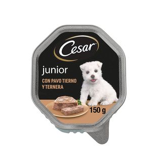 Cesar Pavo Y Ternera Tarrina En Gelatina Para Cachorros 0.15Kg