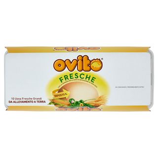 Ovito 10 Uova Fresche Grandi Da Allevamento A Terra
