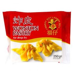Pasta Wonton Para Freír (happy Boy) 250g
