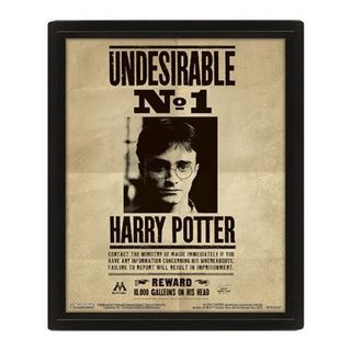 Cuadro 3D Harry Potter Vs Sirius (5051265970169)