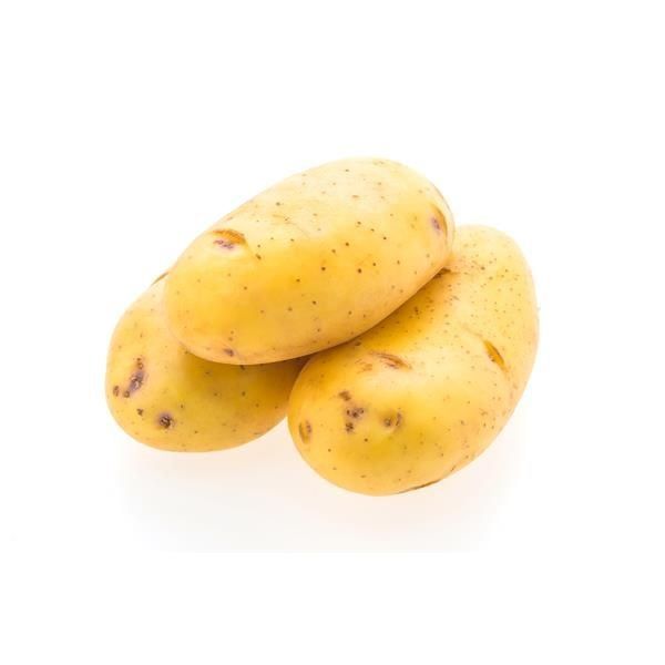 Salada, Preparados e Salteados
