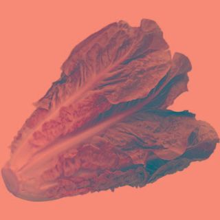 Lechuga Romana, Unidad (71332)