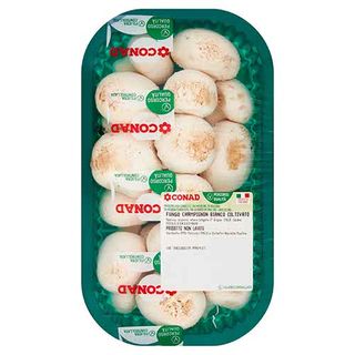 CONAD Percorso Qualità Fungo Champignon Bianco Coltivato Italia Cal. Piccolo 0,500 kg - 8003160003500