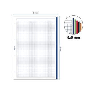 Recambios Cuaderno A4 Cuadrículado 100+50H 5 Bandas Colores Intensos 4 Taladros (8422593090282)