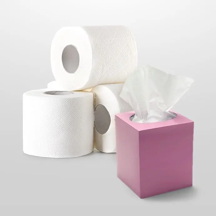 Papier toaletowy i ręczniki