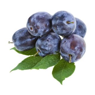 Susine Stanley 1 Kg
