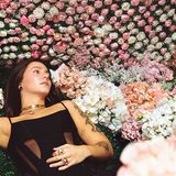 Material Sensible (8435307619488)