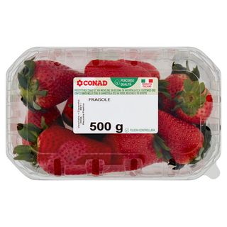 CONAD Percorso Qualità Fragole Italia Cal. 22+mm 500 g - 8003170000728