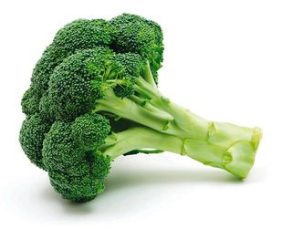 Broccolo Barese Filmato Gr.500 - 917476