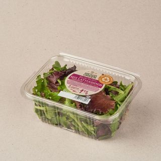 Mix Lattughino Verd Safata 60G