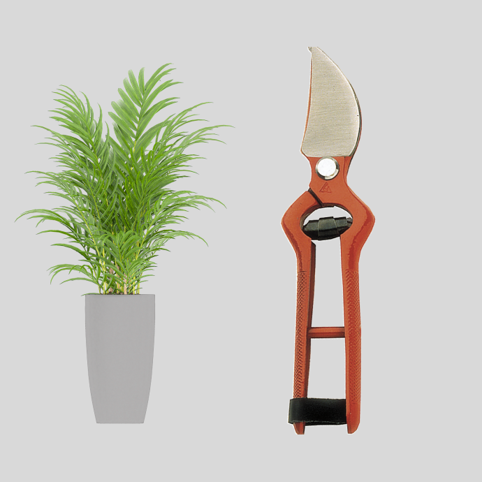 Jardin y Electrónicos