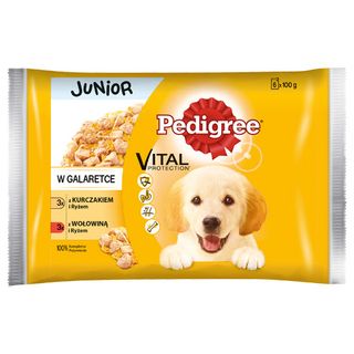 Pedigree Junior Karma dla psa w galaretce, kurczak/wołowina+ryż, saszetki, 6x100 g