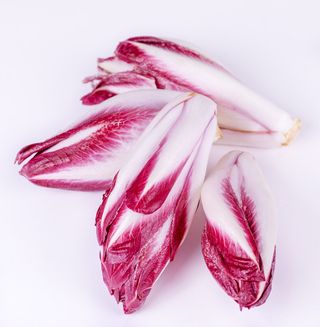 Bandeja de endivia roja 3 Unidades