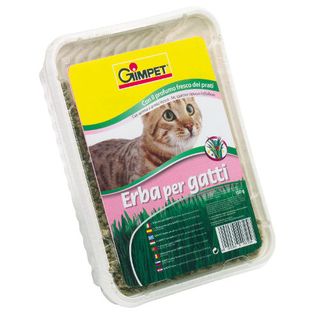Gimcat Hierba Gatera En Bandeja 0.15Kg