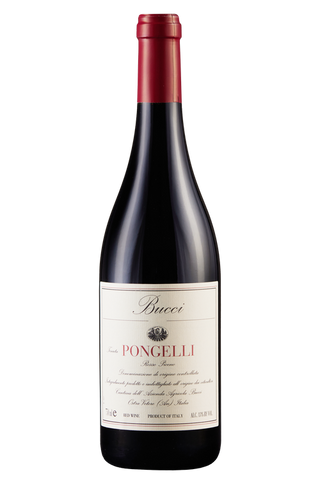 Rosso Piceno Tenuta Pongelli Bio 2022 - Villa Bucci - 0,75 l