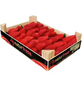 Freson Premium Caja 1 Kg