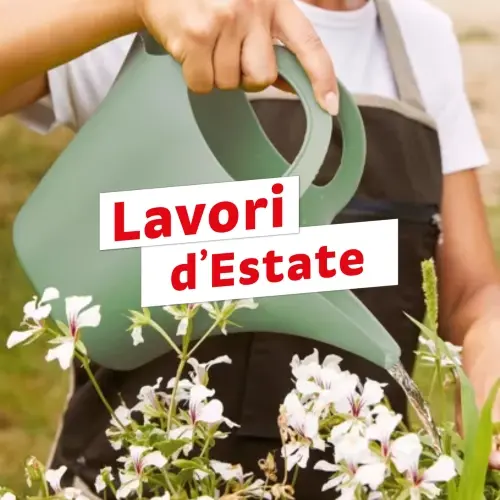 Lavori d'Estate;