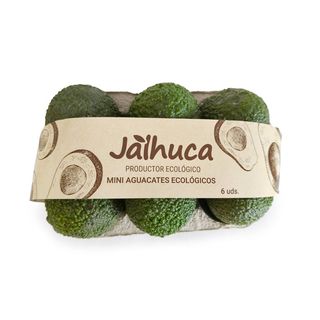 Aguacate Mini Pack 6U Eco
