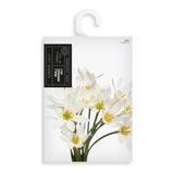 Essential Sobre Ambientador - Seal Aromas - 1 unidad 8431855008323