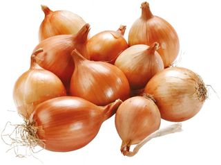 Cipolla Dorata 50/70 Coop G.750