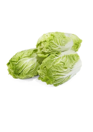 Kapusta pekińska ważona, waga od 1,7 kg