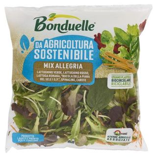 Bdl Ins.Mix Allegria G.125