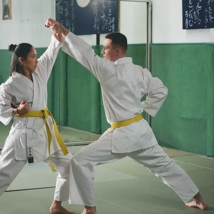 Artes Marciales