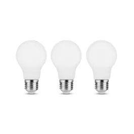 Lampadine.