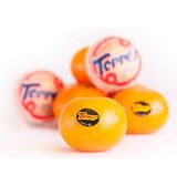 Mandarina "Torres" Extra 4 Uds. 600G Aprox.