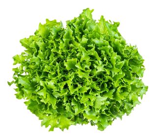 Insalata scarola sfusa categoria I kg 0.45