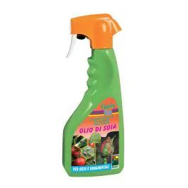 Nutrire E Curare La Pianta.