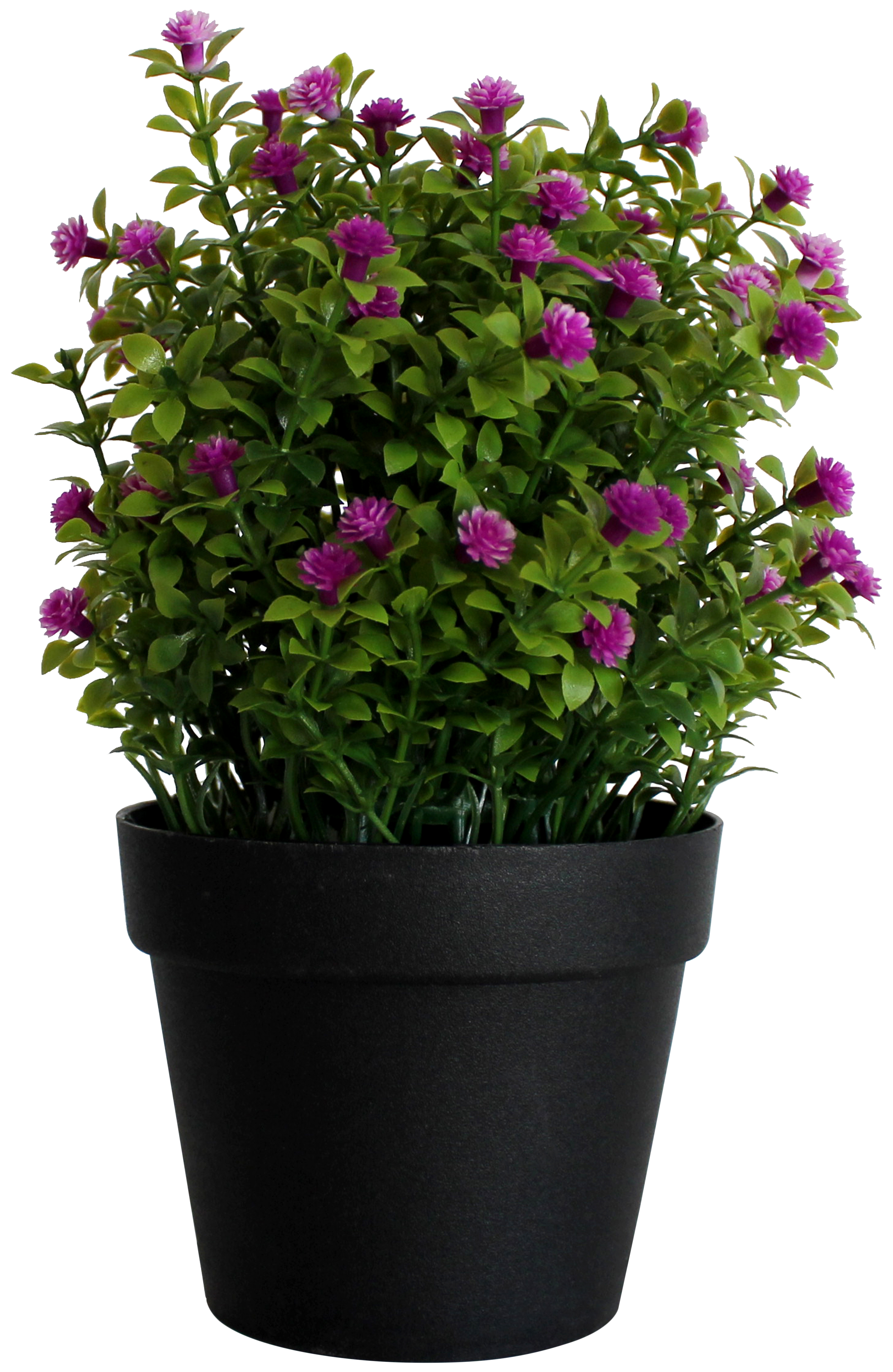 Decoração de Jardim