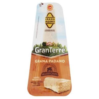 Grana Padano Dop Punta Gr250 Agriform