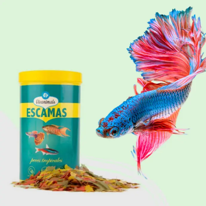 Alimentación Peces