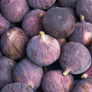 Figi Świeże (1 Sztuka)