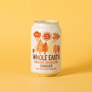 Refresc Gingebre Bio W.Earth 330Ml