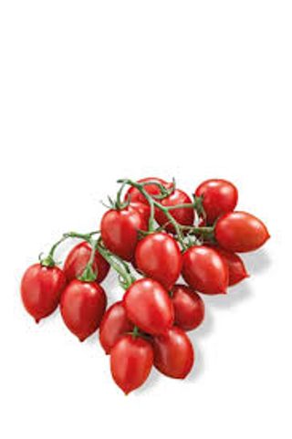 Pomodoro Datterino Di Pachino Igp 500 G