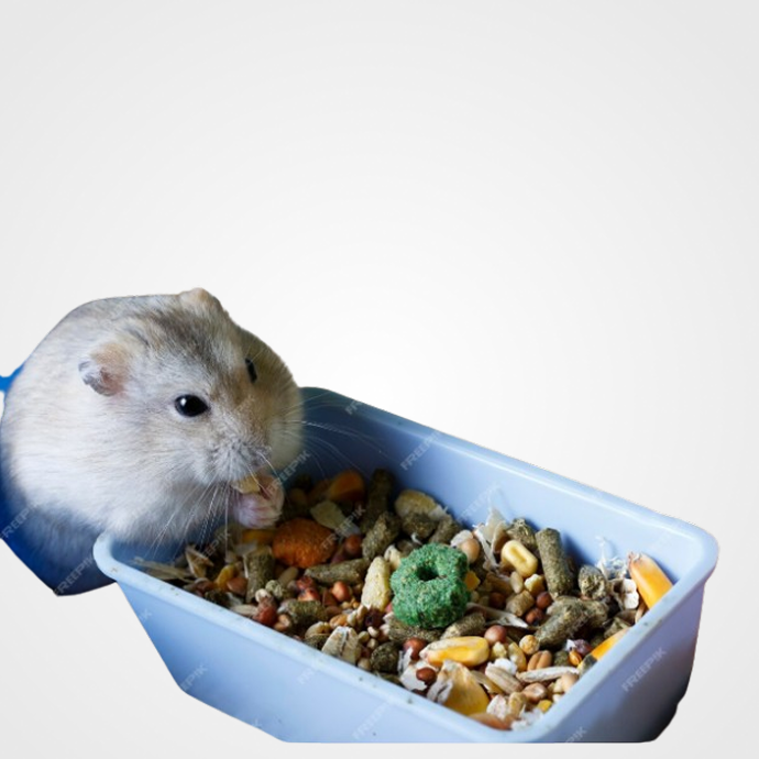 Alimentación Roedores