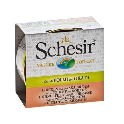 Schesir